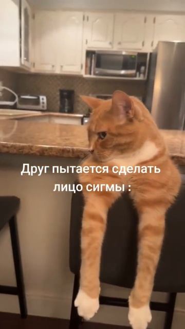 у вас 100% есть такой друг😅 смотреть онлайн