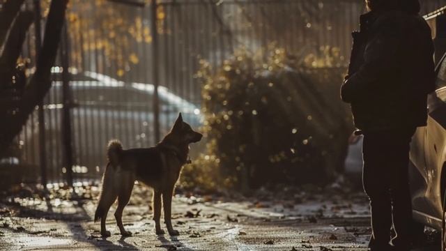 Истории из жизни В один из дней Азалия Петровна просну смотреть онлайн