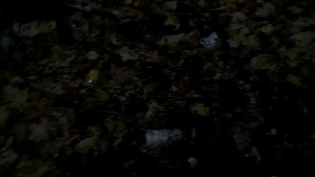 Средневековый кошель лежал под стволом берёзы. Богата смотреть онлайн