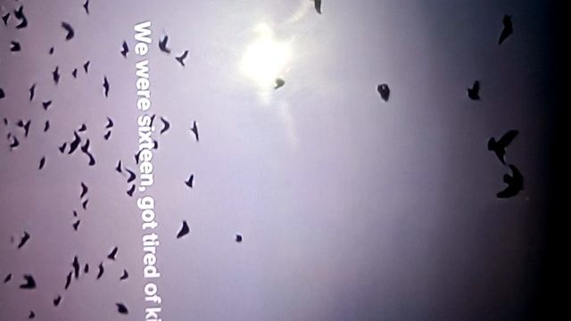 VID_20250510_122447.3gp смотреть онлайн