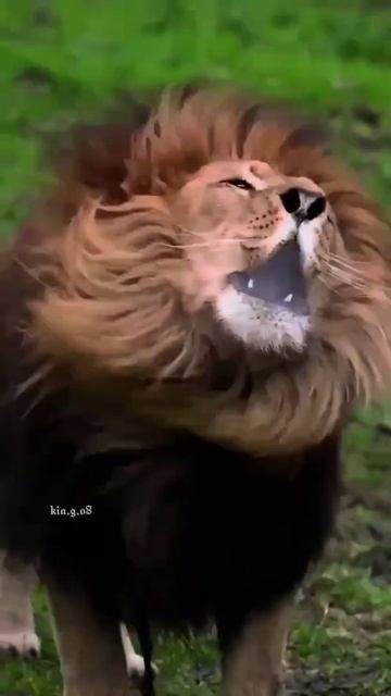 ❤️🔝 подпишите у нас все хорошо видео ролики есть 🤗 ? смотреть онлайн