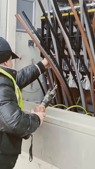 31 января 2025 г. смотреть онлайн