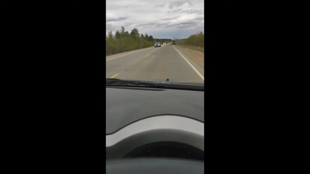 Песок в асфальт: так 🚩ремонтируют амурские дороги.