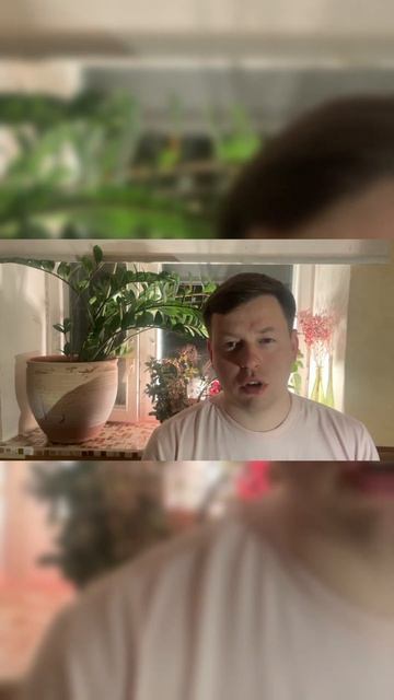 Природа Мексики #shorts #Мексика #Картели #Набебин смотреть онлайн