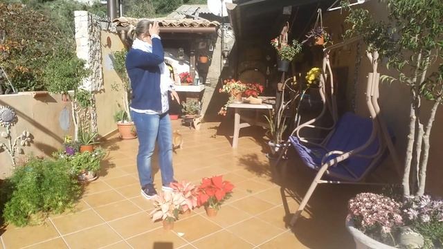 Мой маленький райский уголок. смотреть онлайн