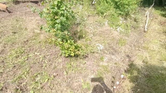 Опять про растениеводство смотреть онлайн