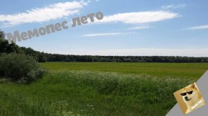 Мемопес лето