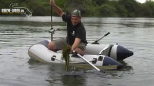 Waller auf Sicht! Wallerangeln Welsangeln peche au silure