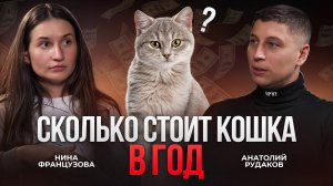 Сколько стоит счастливая кошка? Полный гид для будущих и нынешних владельцев с Ниной Французовой