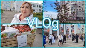 Влог 💥Иду к внучке/ Ботаник я ещё тот 😊Цены растут/Готовить некогда/Гже вы дамы в дорогих платьях