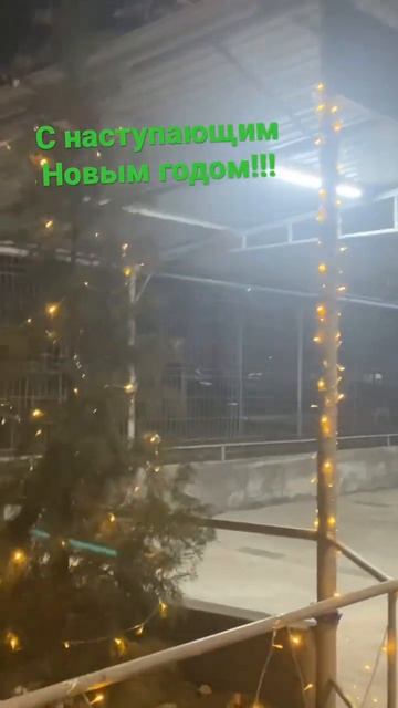 Ташкент, украсили елки во дворе! #ташкент #узбекистан #? смотреть онлайн