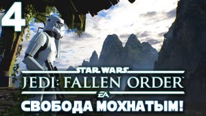 Star Wars Jedi Fallen Order Прохождение (4 часть)