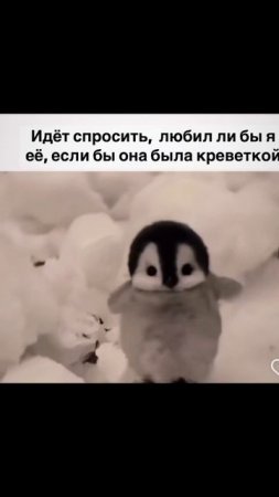когда прихожу домой с работы