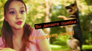 Особенности ошибок в дрессировке собаки