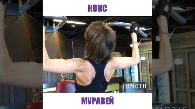 Фитнес-клуб Кокс Муравей
