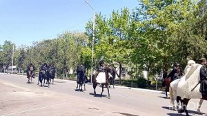 джигиты Дагестана.mp4 Джигиты Дагестана #лейла #лейлаха #leylaha #9мая #день победы