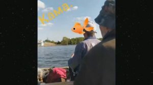 ИДИОТЫ 100 УРОВНЯ Я РЖАЛ ДО СЛЁЗ😂 30 МИНУТ ЛУЧШИХ ПРИКОЛОВ ЗАСМЕЯЛСЯ ЛАЙК ПОДПИСКА улётное видео #1