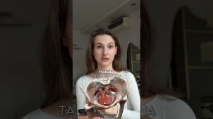Как правильные движения помогут улучшить женское здоровье и либидо?