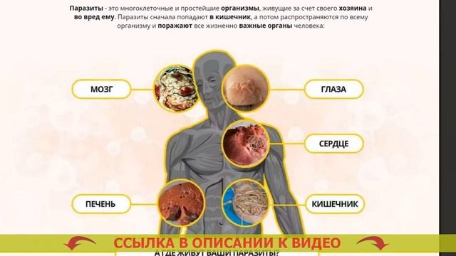 Гельмиос препарат от паразитов купить 💡 Эвалар от па? смотреть онлайн