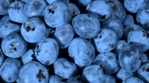 Мозг. Здоровье и активность мозга. Какие продукты любит мозг