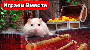 Хомяк в Древнем Египте 🐹 Умный Хомяк разгадывает ТАЙНЫ ПИРАМИД 🐹 Видео для детей