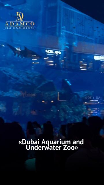 Дубай Молл - самый большой ТЦ в мире! смотреть онлайн