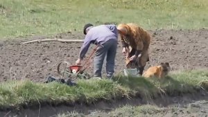 OSMO-Chakram_дедушки бабушки жгут