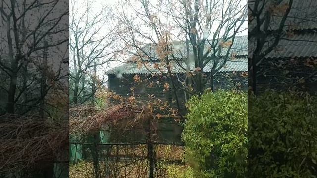 План провалился 🕊🍁🍁🍁 #осень #ноябрь #план #многоде? смотреть онлайн