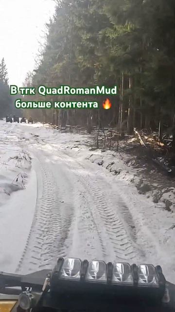 Зимний лес  automobile снегоход atv snow stels offroad winter mud brp stelsleopard