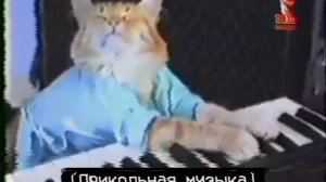 Keyboard Cat (Кот-пианист) (1984)
80 лет Великой Победе!