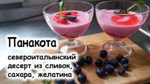 Панакота