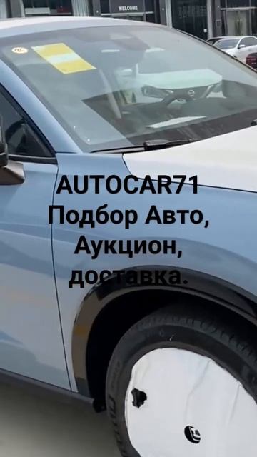 Аукцион в Китае прямая продажа в Россию на физическое