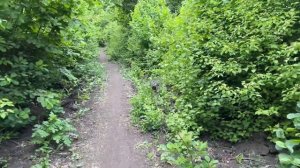 Лес в Ростове-на-Дону.Прогулка в Щепкинском лусу 🌳#ле?