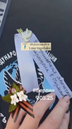 Апти Алаудинов "АХМАТ". "Я георгиевская лента, меня запретили в Германии"