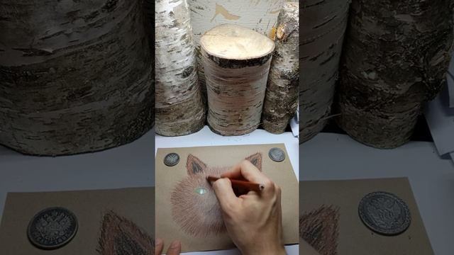 Как нарисовать портрет кота карандашами из мультика?