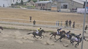 Скачки Махачкала ипподром "КСК Зебра" 08.05.2025 2 заезд