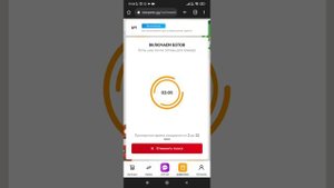 проверка сайта star pets gg купил трёх петов обман или нет
