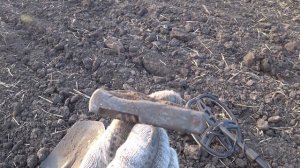 Первый осенний коп, с GARRETT AT PRO! Среди находок: ИМПЕРСКИ?