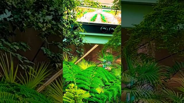 Летим на Бали пересадка в Доха #доха #катар #аэропорты смотреть онлайн