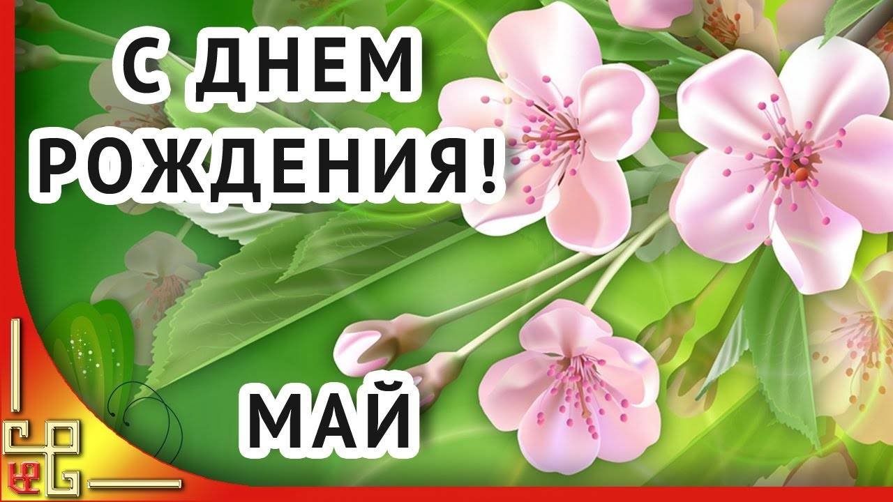 День рождения в МАЕ. Поздравление с днём рождения в мае. Открытка с днём рождения