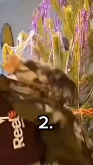 Танцуй если знаешь эту песню @YT.Magixx63 #актив #песня #клип смотреть онлайн