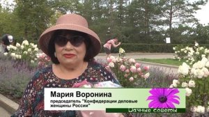 Гортензии Самарская Лидия, Лаймлайт, Ванила фрайз и др. на набережной г. Самара