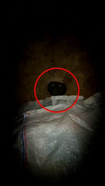 Что-то Ужасное криповое в заброшенном доме живёт смотреть онлайн