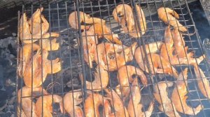 8.05.25.Пикник на Камне