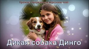 Дикая собака Динго: краткое содержание с подробным обзором