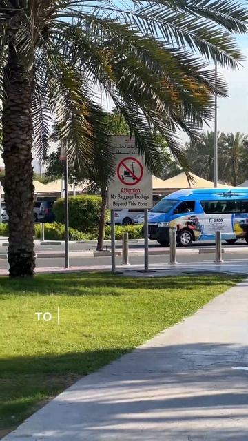 ОТКУДА ПАЛЬМЫ В ОАЭ🇦🇪 ?🤔 #персидскийзалив #оаэ #паль