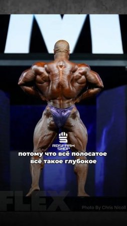 Бодибилдинг