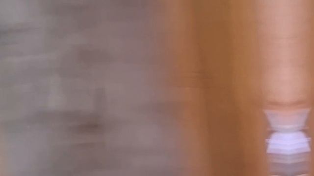 1000023442.mp4 (Собака смотрит на каркас для э/кабелей, установленный в доме А-фрейм)