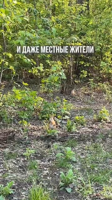 📍Подписывайся, если хочешь переехать в Тюмень! #тюмен смотреть онлайн