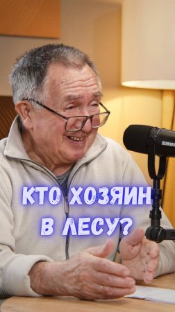 Вертолёт остановил лесовоз прямо в тайге